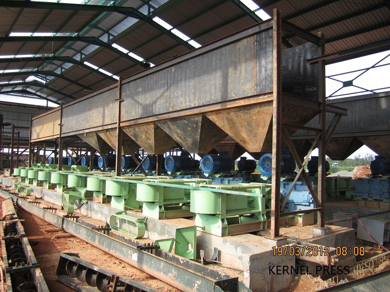 Palm Kernel Shell Separation: Technology, Process, Benefits and Sustainable Application